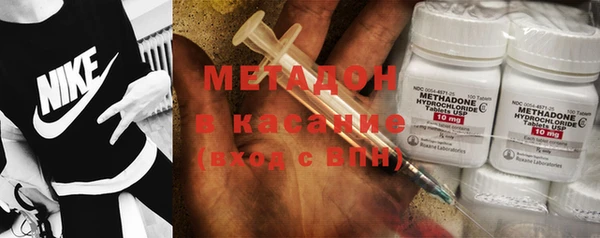 шишки Белоозёрский