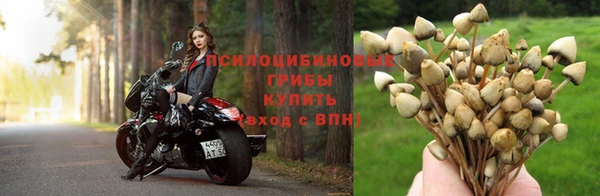 амф Беломорск