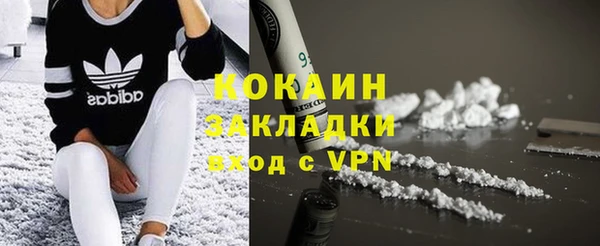 шишки Белоозёрский