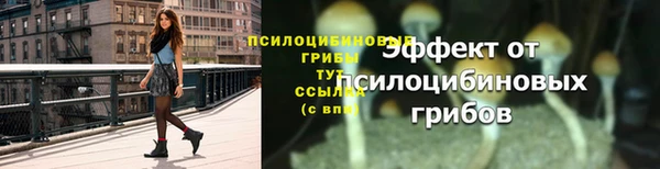 амф Беломорск