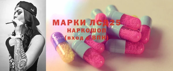 шишки Белоозёрский