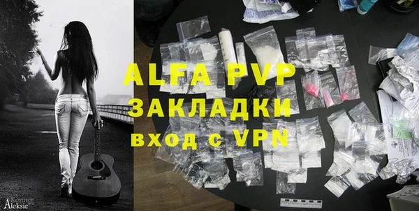 шишки Белоозёрский