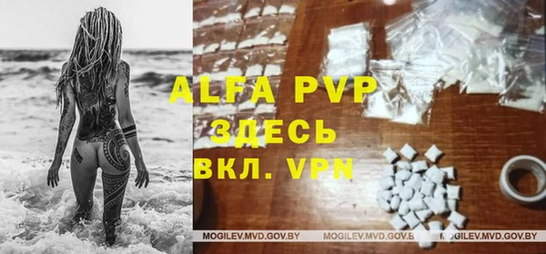 скорость Белокуриха