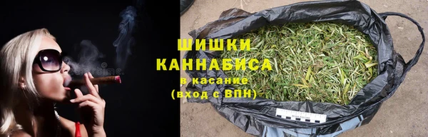 шишки Белоозёрский