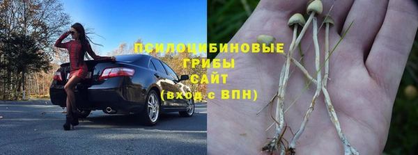 скорость Белокуриха