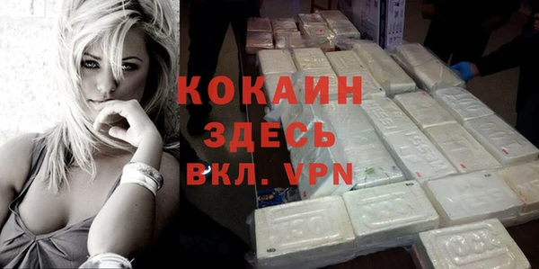 шишки Белоозёрский